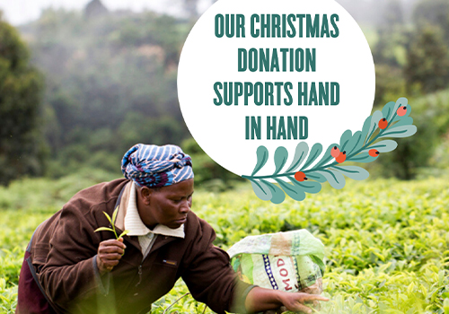 MIDAQ gives Christmas gift to Hand In Hand